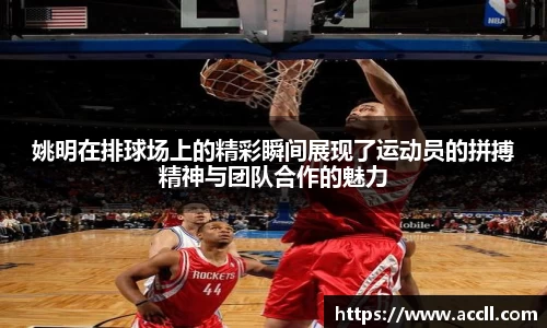 姚明在排球场上的精彩瞬间展现了运动员的拼搏精神与团队合作的魅力
