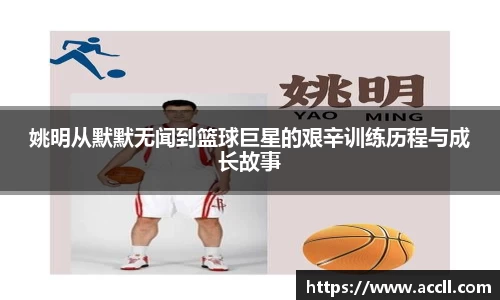 姚明从默默无闻到篮球巨星的艰辛训练历程与成长故事