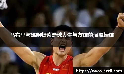 马布里与姚明畅谈篮球人生与友谊的深厚情谊