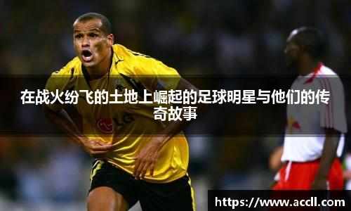 艾弗森贝博ballbet官网