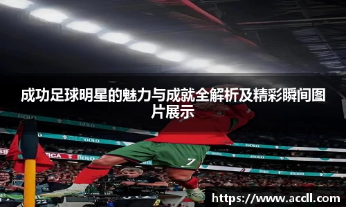 BB贝博艾弗森官网