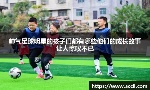 艾弗森贝博ballbet官网