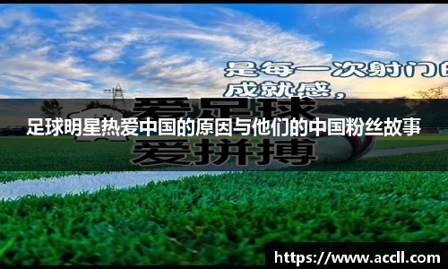 艾弗森贝博ballbet官网